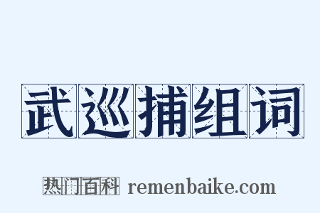武巡捕组词是什么意思的图片